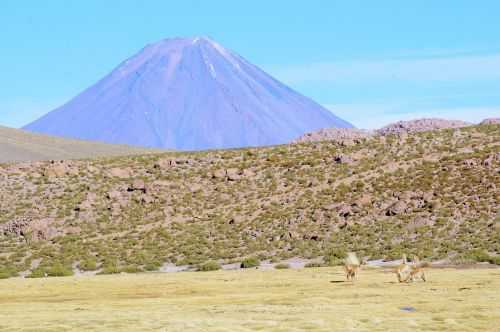 TREKKING NEL DESERTO DI ATACAMA 2015